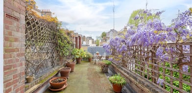 Ebury Street, London, SW1W - Picture preview 8