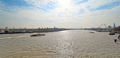 Picture No. 16
