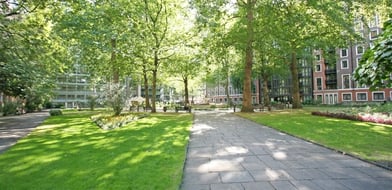 Dean Ryle Street, Belgravia, London, SW1P - Picture preview 5