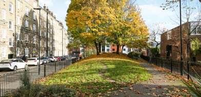 Dibden Street, Islington, London, N1 - Picture preview 10