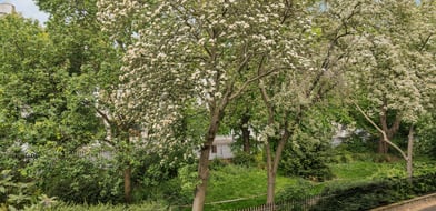 Compton Terrace, Islington, London, N1 - Picture preview 15