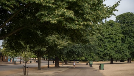 Runner in Hyde Park, London