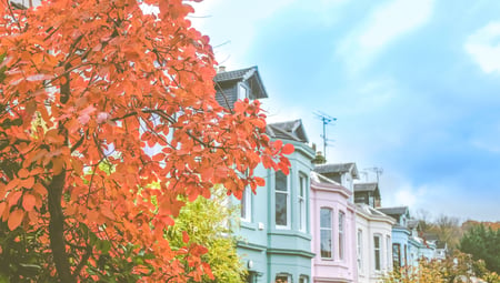 Top 10 ways to increase the sustainability & value of your home