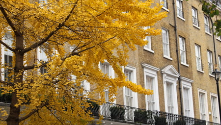 Prime London & UK sales market update Q4 2026