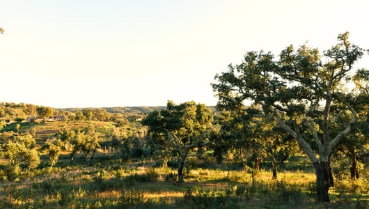 S. Francisco Da Serra, Melides, Portugal, 7540, Portugal