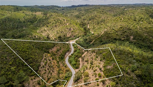 Javali, São Brás de Alportel, Algarve, Portugal