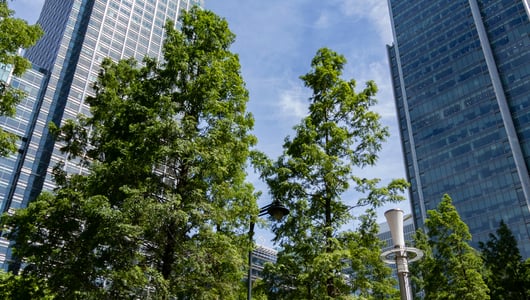 Commercial Quarterly Examiner – office market update Q2 2025