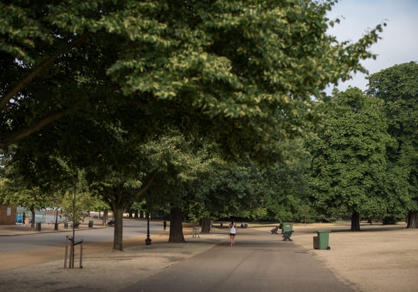 Runner in Hyde Park, London